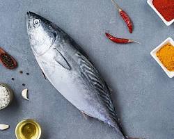 Gambar Tuna fish