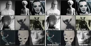 话梅女人on X: "昴宿星人灰人金星人灰人混血埃默瑟星人天琴星人 ...
