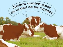 Résultat de recherche d'images pour "anniversaire humour"