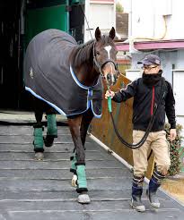 News source: Yahoo!ニュース