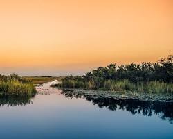 Everglades National Park Miami