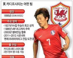 카디프 시티 축구 클럽 이미지