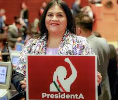 En el Senado respaldamos el posicionamiento de la Presidenta en favor del diálogo y la democracia: Chavira