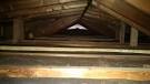 Attic crawl space