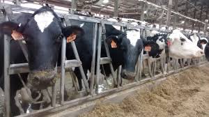 Brownfield Ag News - News update