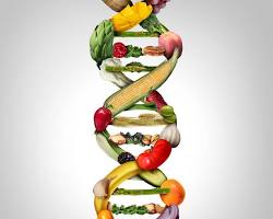 Genetically modified foods