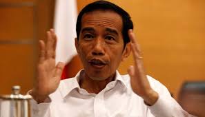 Hasil gambar untuk Jokowi