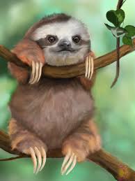 Slothy