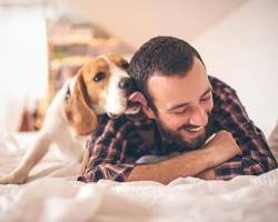 dog and owner smilingの画像