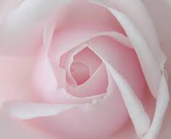 catatan ringan amie ^__^