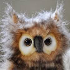Résultat de recherche d'images pour "gif hibou secoue ses plumes "