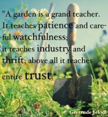 Garden Quotes on Pinterest | Gardening Quotes, Gardening and Gardens via Relatably.com