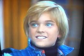 Résultat de recherche d'images pour "webster tv show"