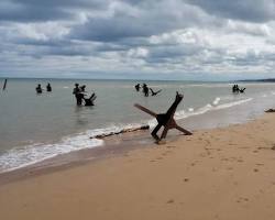 Imagen de la playa de Omaha