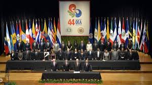 Resultado de imagen de OEA