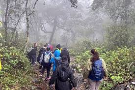Suben 5.9% ingresos por turismo; cortan tres meses con bajas