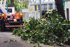 “Ansiedade ambiental”: a nova síndrome carioca depois das ventanias