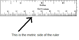 英和画像辞典：(ruler side)の関連画像一覧！