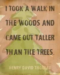 woodland quotes on Pinterest | Owl, Owl Quotes and Totems via Relatably.com