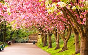 Image result for Spring