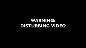 Madison Police Shooting: Exclusive Full Video Analysis of Fatal Encounter Near Wisconsin State Capitol