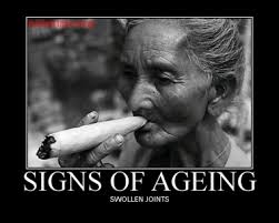 Résultat de recherche d'images pour "fun, not fun ageing volleyball"