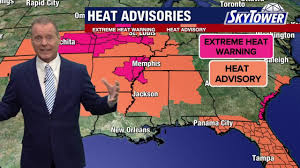 Tampa weather | Wednesday morning forecast