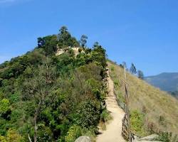 Image of Top Station Munnar