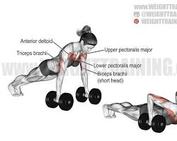 Image of Dumbbell PushUps exercise