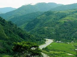 Hasil gambar untuk Taman Nasional Gunung Leuser