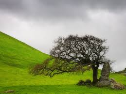 Image result for pictures gallery for amazing places of the world