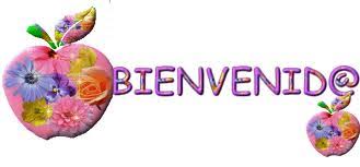 Resultado de imagem para sean bienvenidos