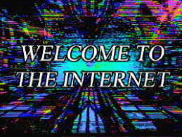 Image result for welcome to the internet meme