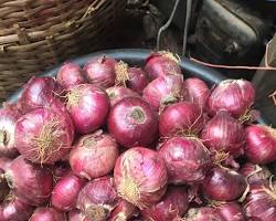 Image of Onions nigeria