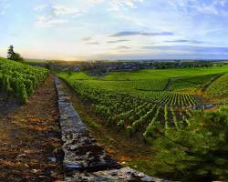 Image of Burgundy France Cote de Nuits vineyard landscape