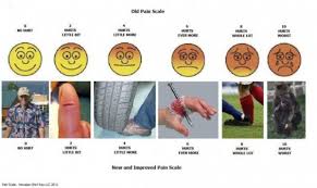 Image result for pain scale