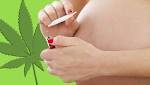  Mums are smoking weed while pregnant to get rid of morning sickness