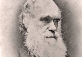Bildresultat för charles darwin