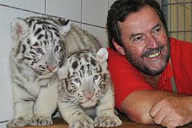 Herbert Eder und zwei Tigerbabys. APA/Kameltheater/Weißer Zoo Kernhof/M.Pifo. Zoodirektor Herbert Eder mit den Tigerjungen Nanu und Nena - tiger.5158183