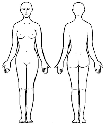 Resultado de imagen para cuerpo humano
