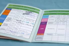 cabo san lucas Picture