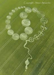 Resultado de imagem para crop circle do DNA
