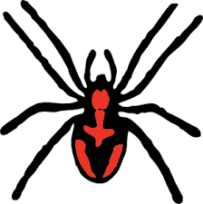 Image result for spiders cartoon