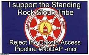 Image result for standing rock protest