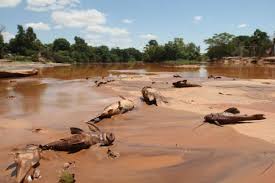 Resultado de imagem para poluição de águas vale rio doce samarco