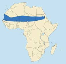 Résultat de recherche d'images pour "dama gazelles"