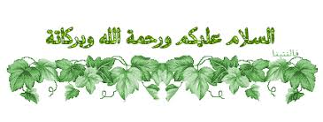 أداب تحية الاسلام(السلام عليكم ورحمة الله وبركاتة) Images?q=tbn:ANd9GcSqUt2_VwrgrbaH8JiwgoDD6zmZe_ZcODoyERxT5BgehSwf8OBT