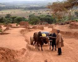 Image of Karatu, Tanzania