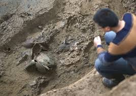 2500 Years Old Royal Tombs Discovered By Chinese Archaeologist [Pics]