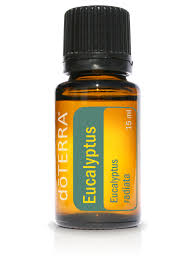 Eucalyptus oil